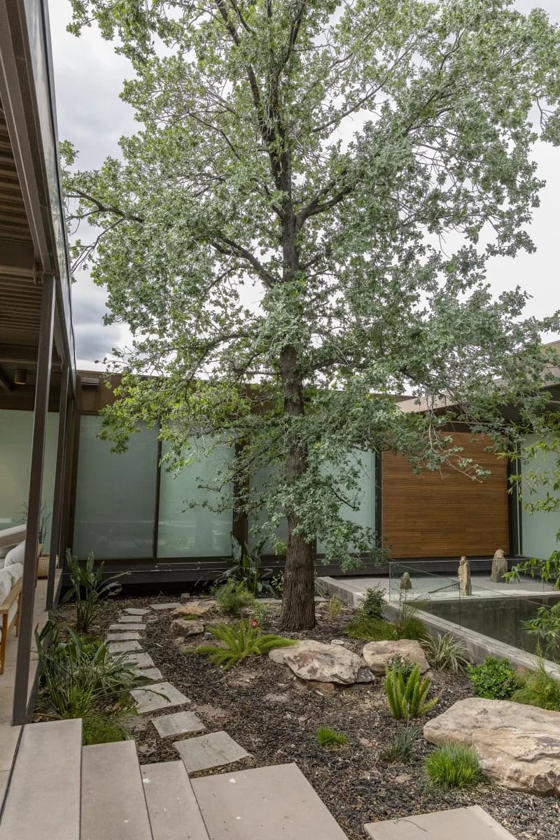 3 Tips for High Yielding Fruit Trees in Las Vegas