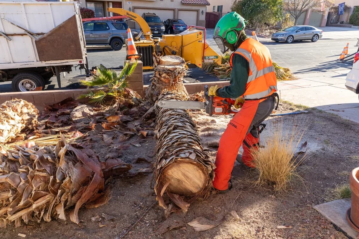 Masterful Tree Pruning to Craft a Secret Garden