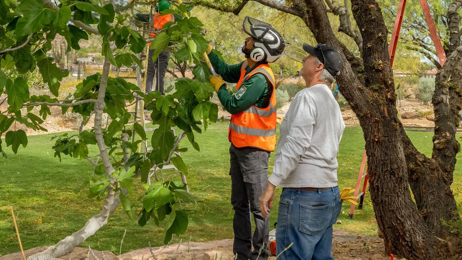 Benjamin's Tree Service ISA Certified Arborist consulting with a Las Vegas homeowner about a tree before HOA submission