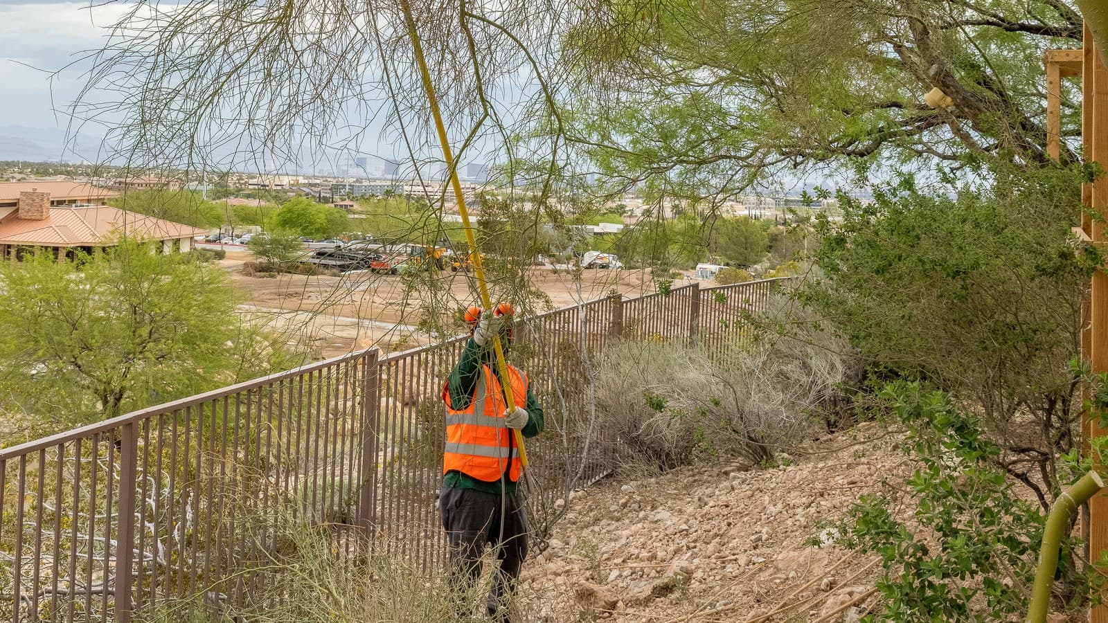 Benjamin's Tree Service arborist trimming along an HOA community fence line overlooking a Las Vegas Valley neighborhood
