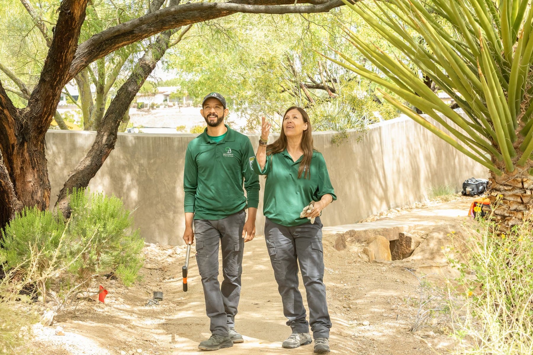 Monsoon Tree Inspection in Las Vegas: 7 Warning Signs