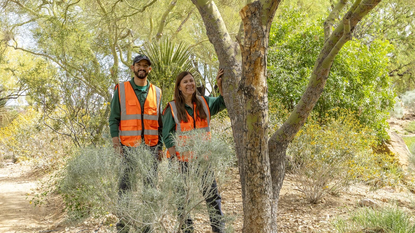 Benjamin's Tree Service crew walking a desert-landscaped property to check canopy growth and suckering