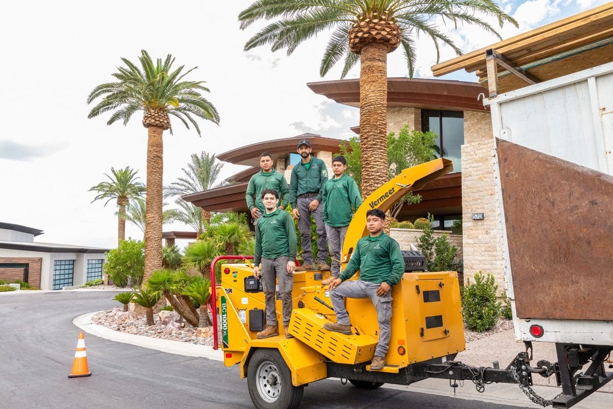 Benjamin's Tree Service crew with palm tree trimming equipment in Las Vegas