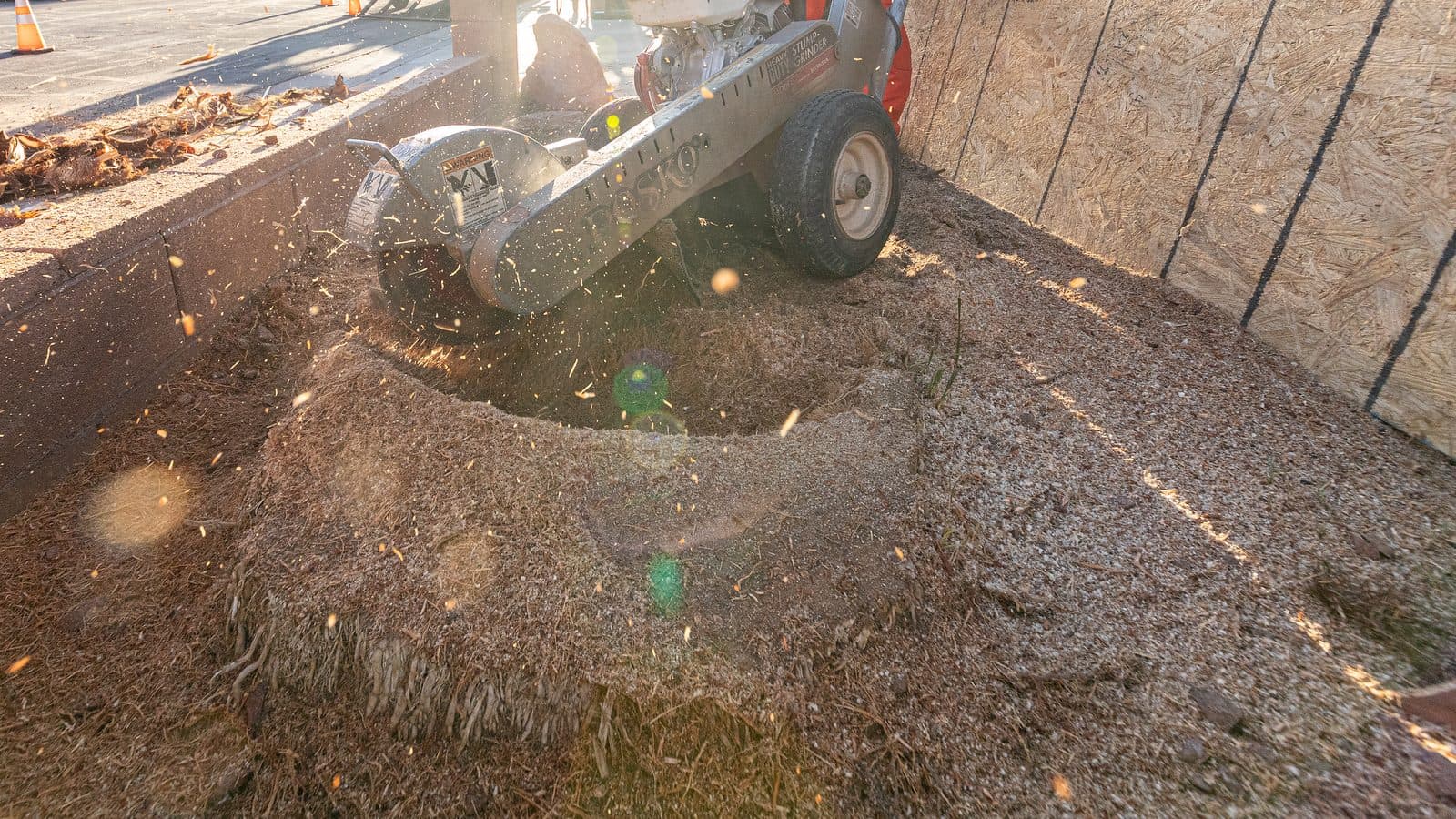 Tree stump ground into wood chips below ground level