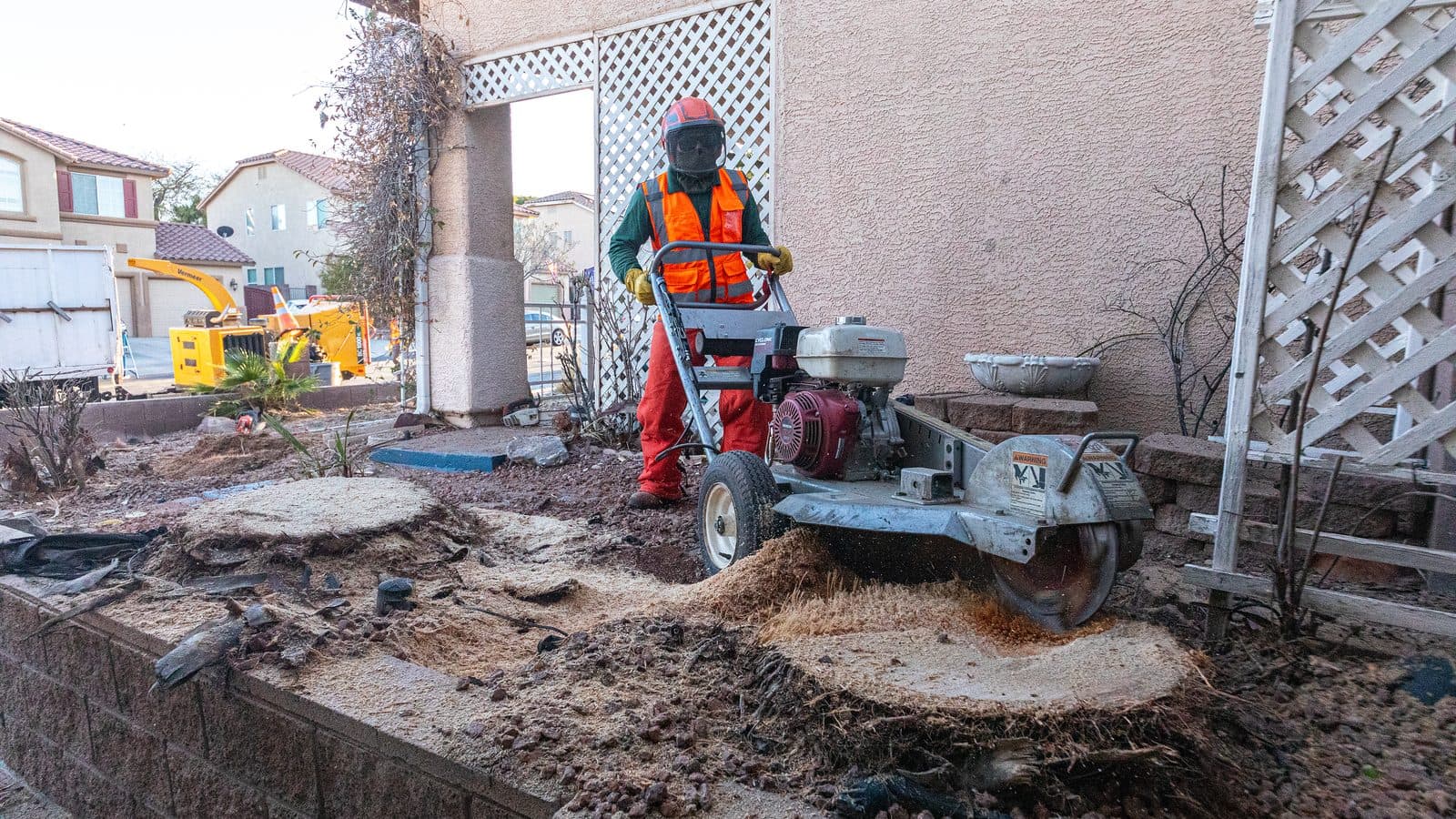 Stump removal in Las Vegas: crew grinding a tree stump below grade in a residential yard