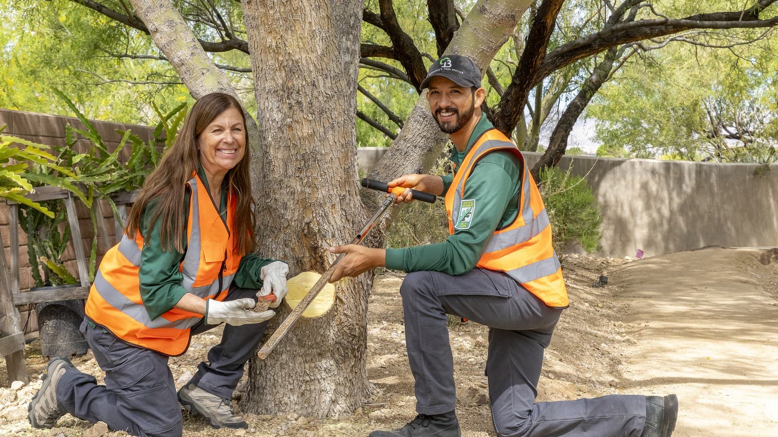 Benjamin's Tree Service crew assessing tree condition after a tree falls on your neighbor's property in Las Vegas