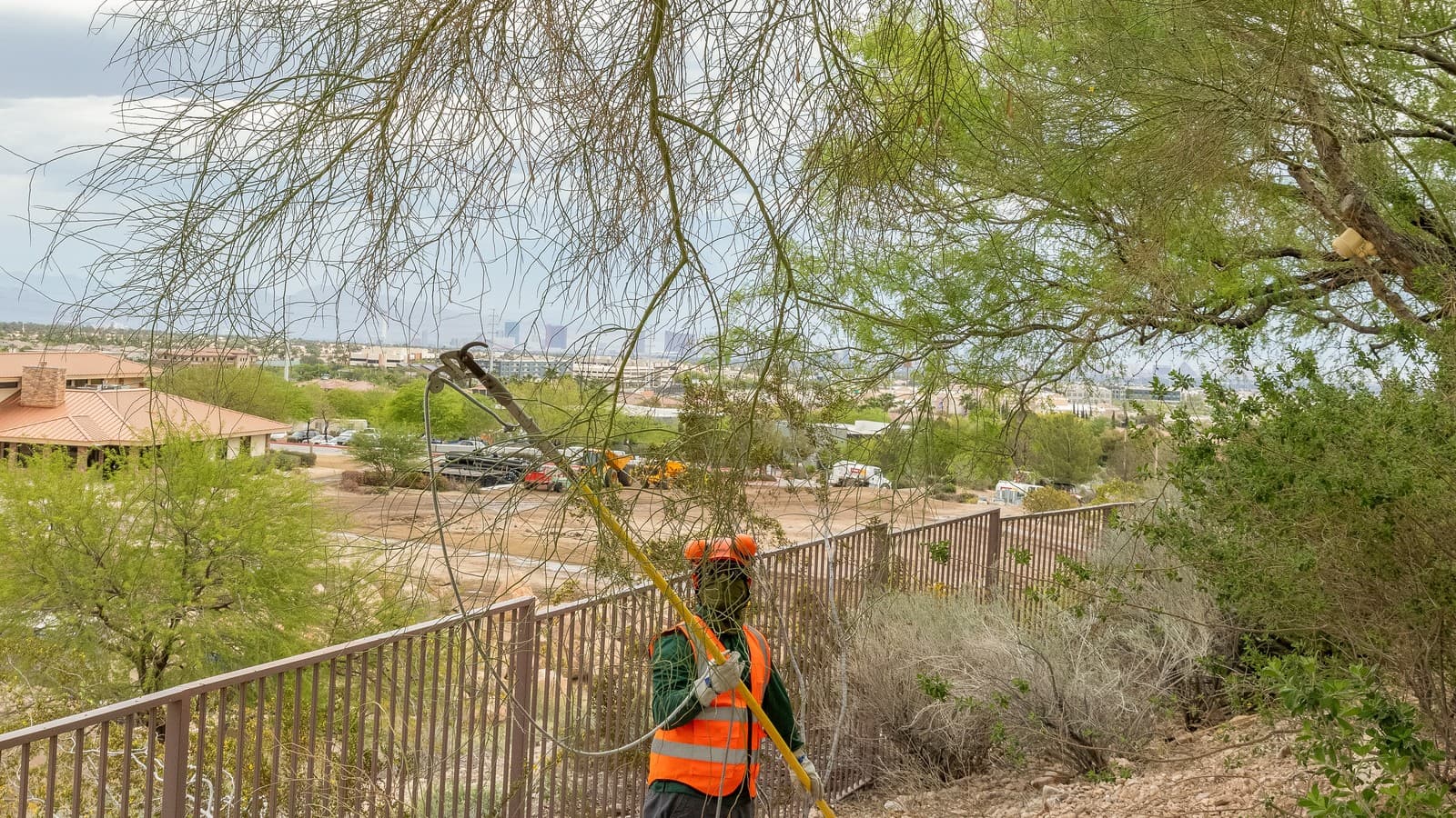 Benjamin's Tree Service arborist using a pole saw along a fenced hillside property boundary in the Las Vegas Valley