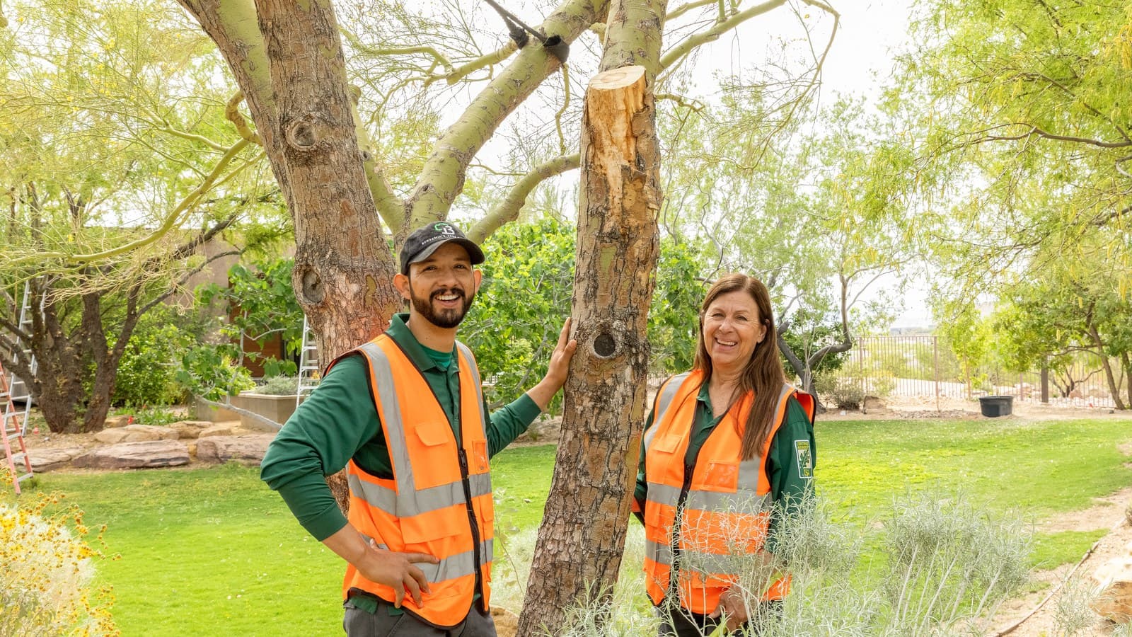 Benjamin's Tree Service crew members beside a trunk in a Centennial Hills yard after a canopy inspection