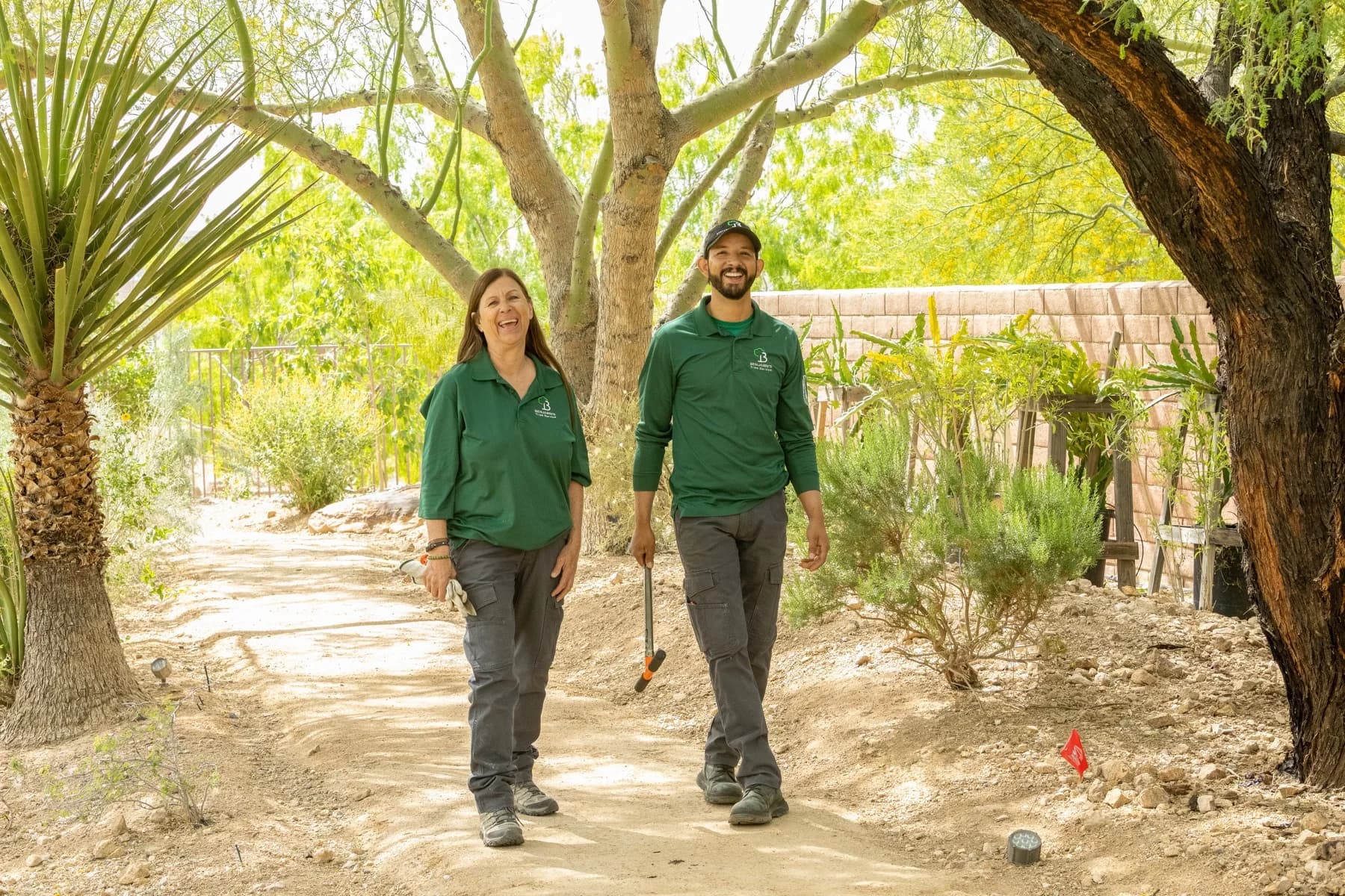 Tree service project in Las Vegas - photo 88