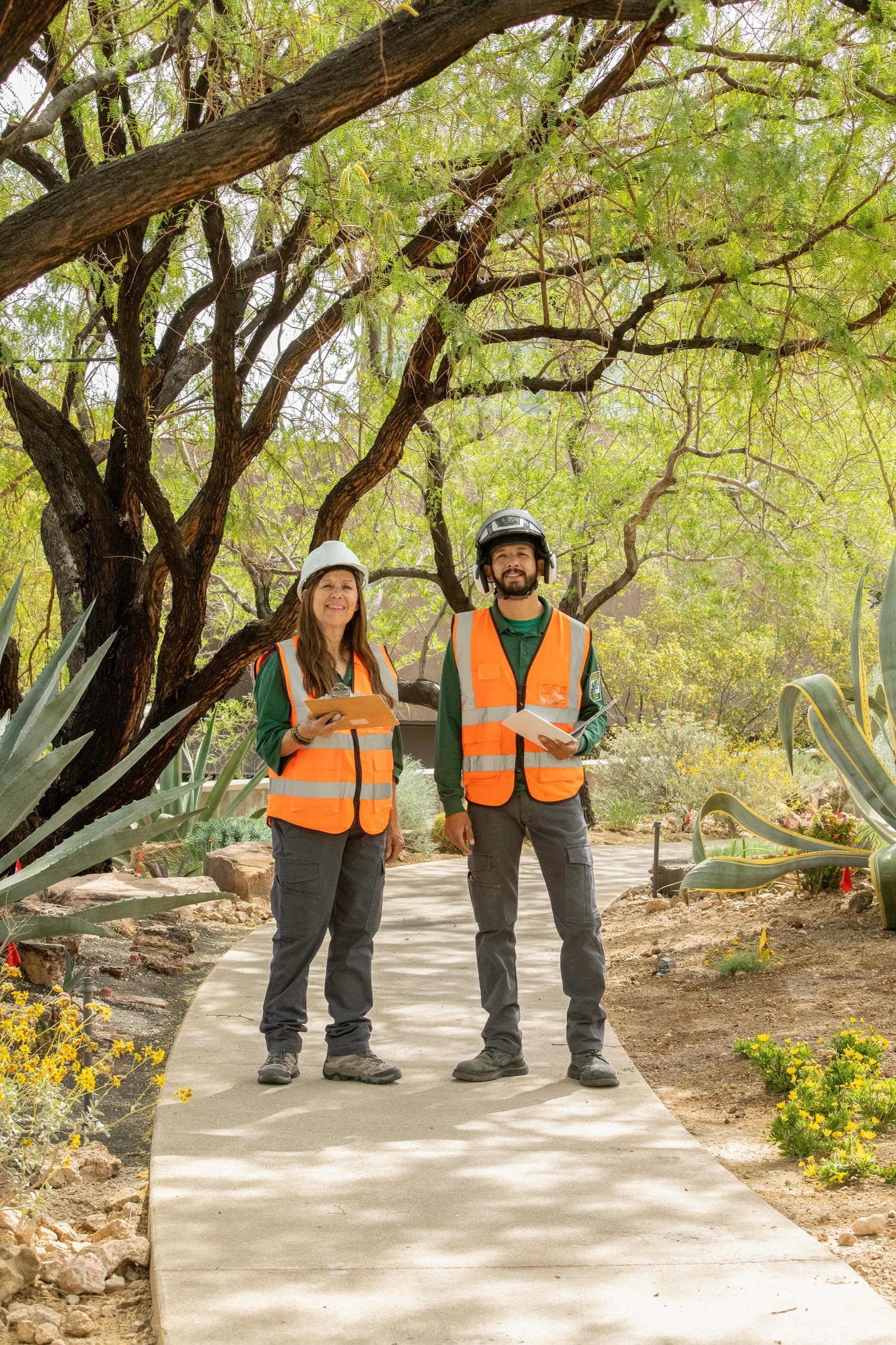 Tree service project in Las Vegas - photo 65