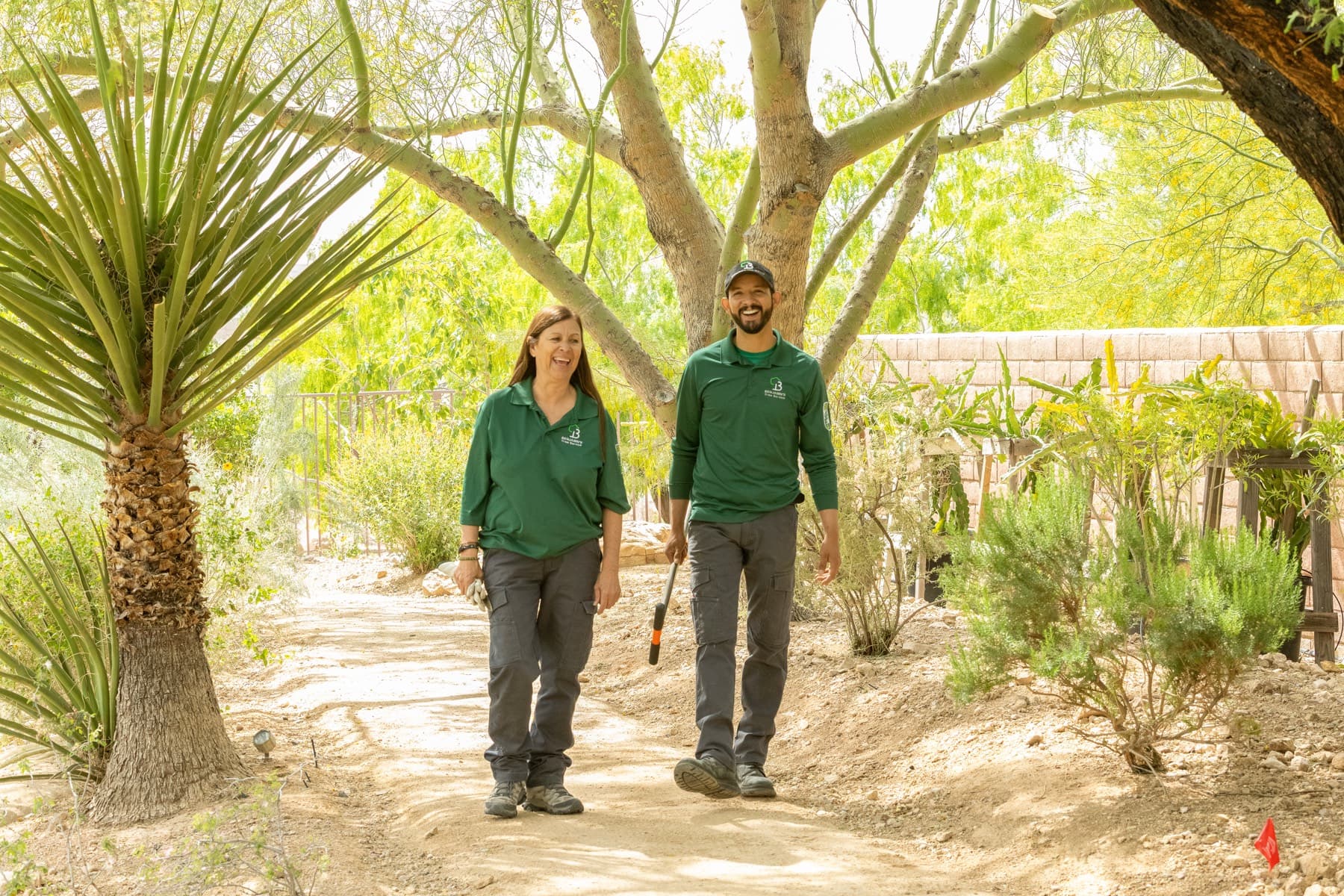 Tree service project in Las Vegas - photo 95