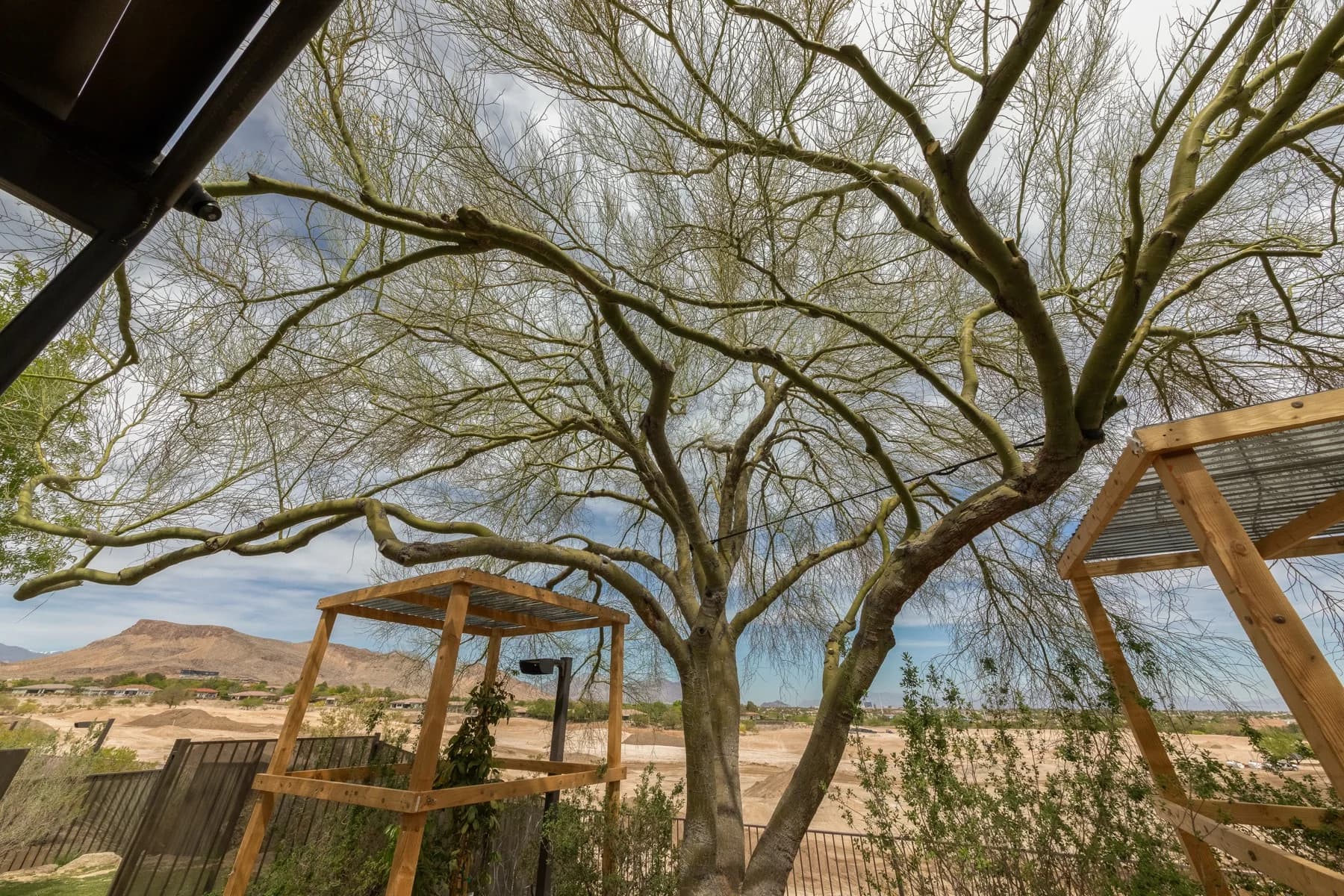 World Class Tree Removal