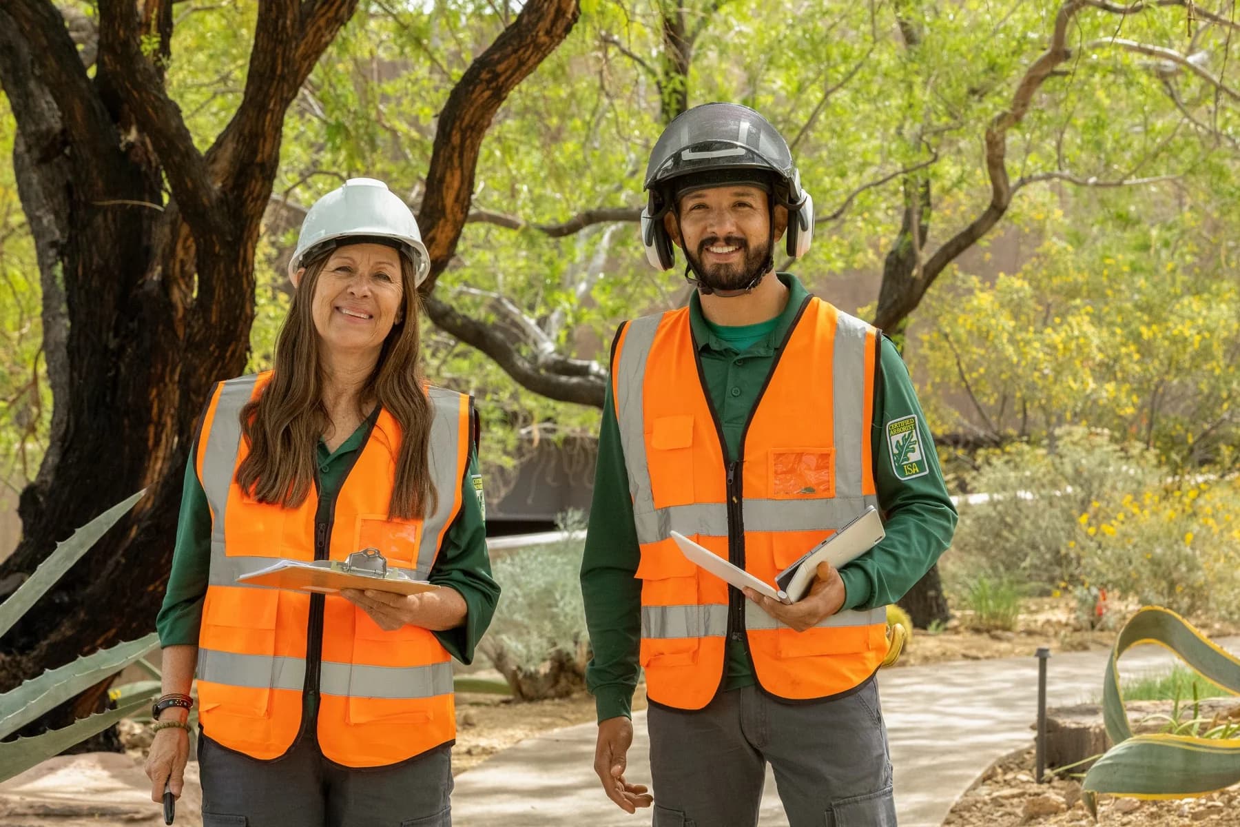 Tree service project in Las Vegas - photo 57