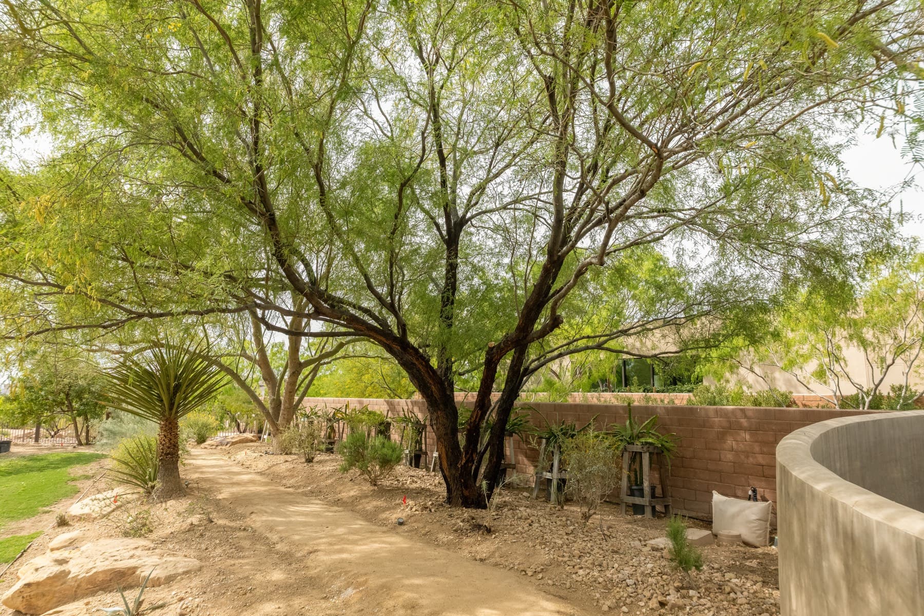 Tree service project in Las Vegas - photo 110