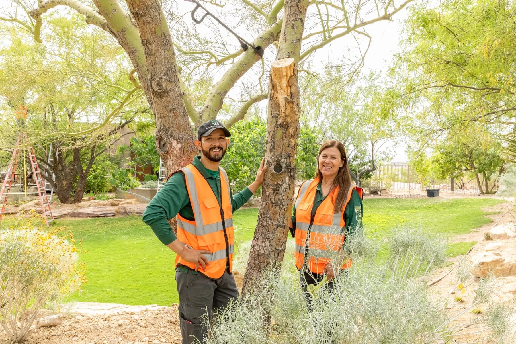 Tree service project in Las Vegas - photo 14