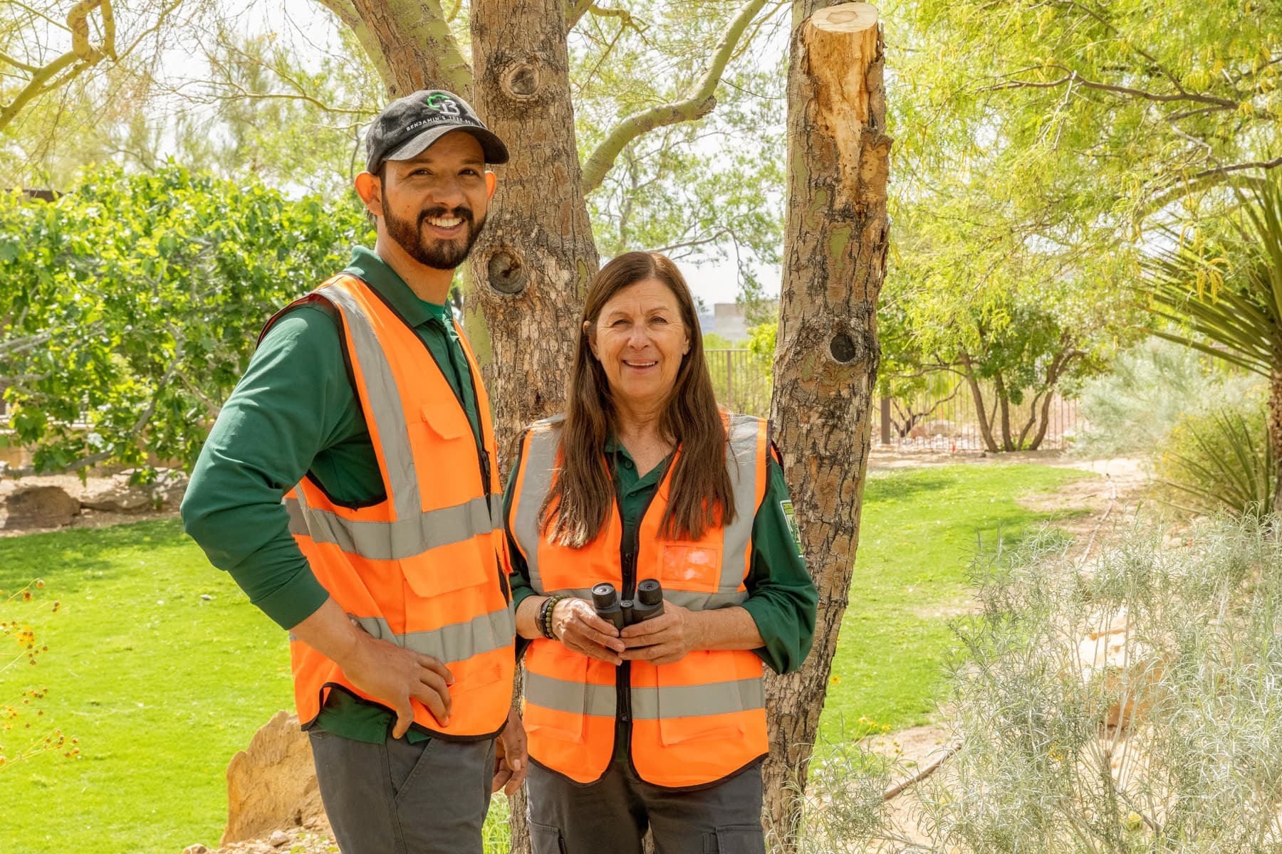 Tree service project in Las Vegas - photo 56