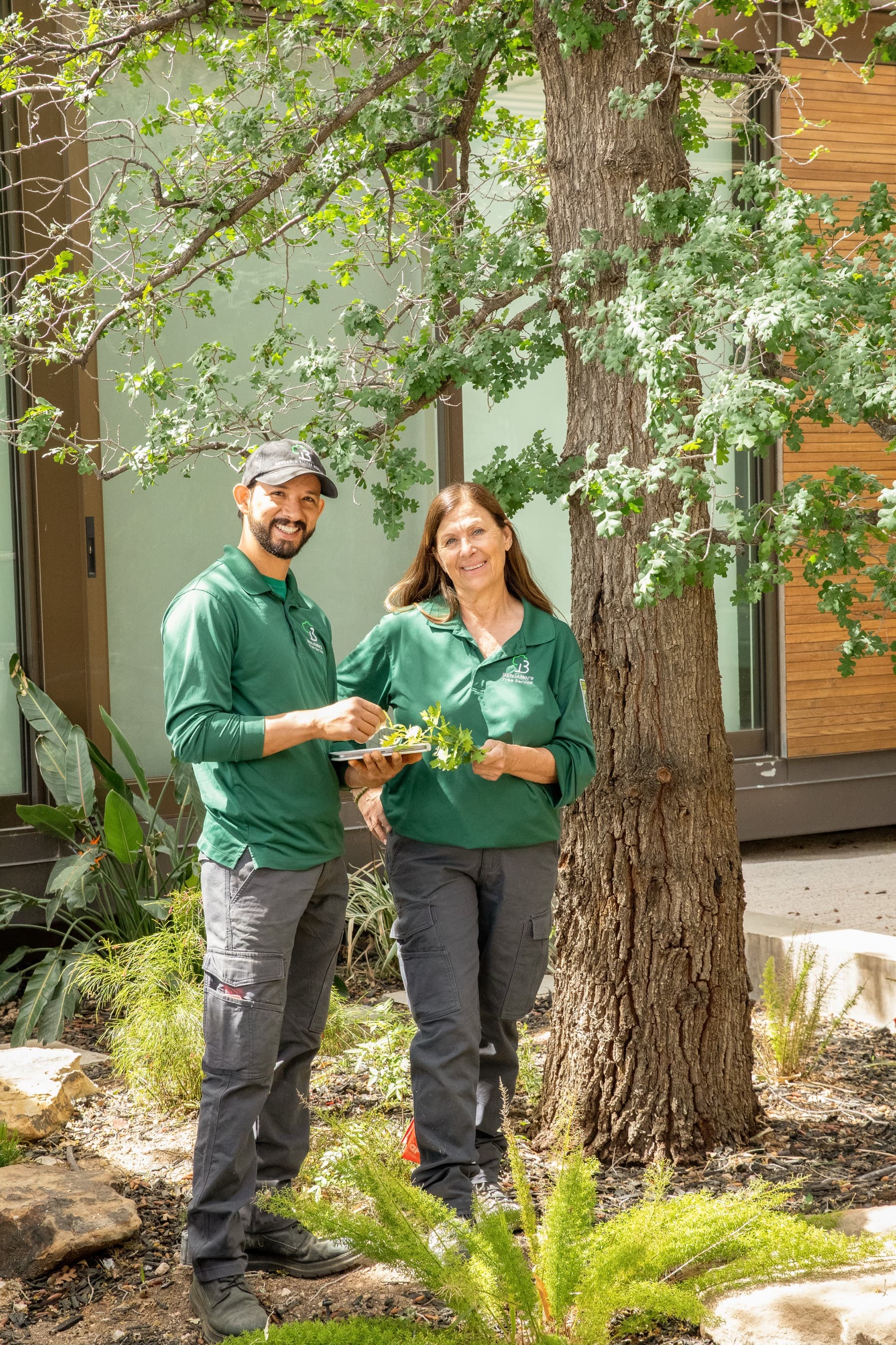 Tree service project in Las Vegas - photo 39