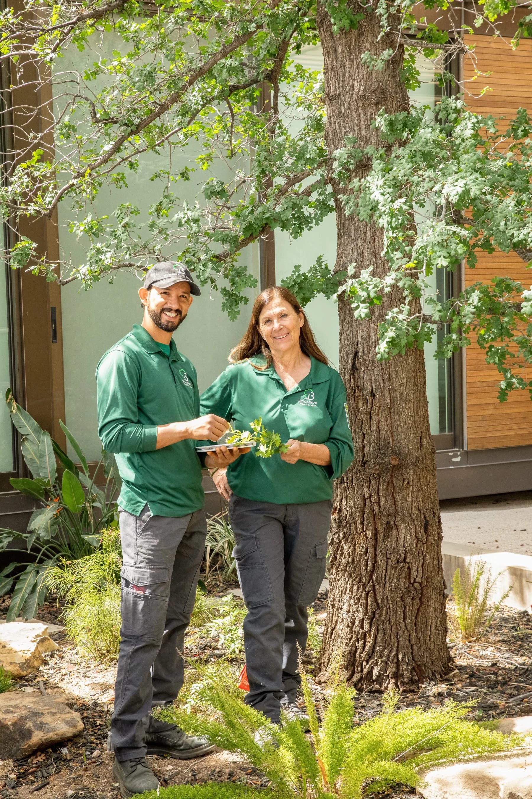 Safe limb removal work completed in Boulder City