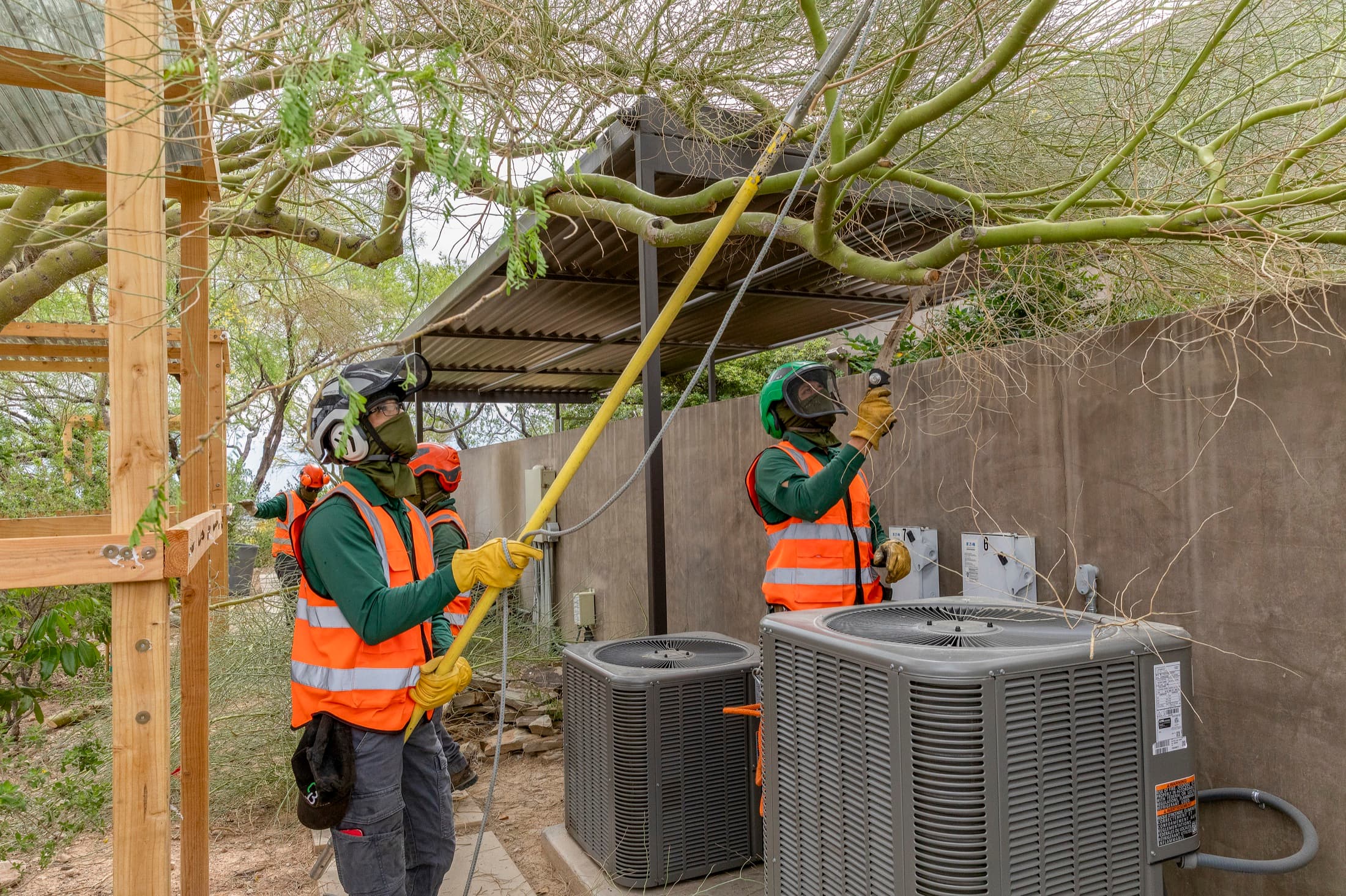 Tree service project in Las Vegas - photo 25