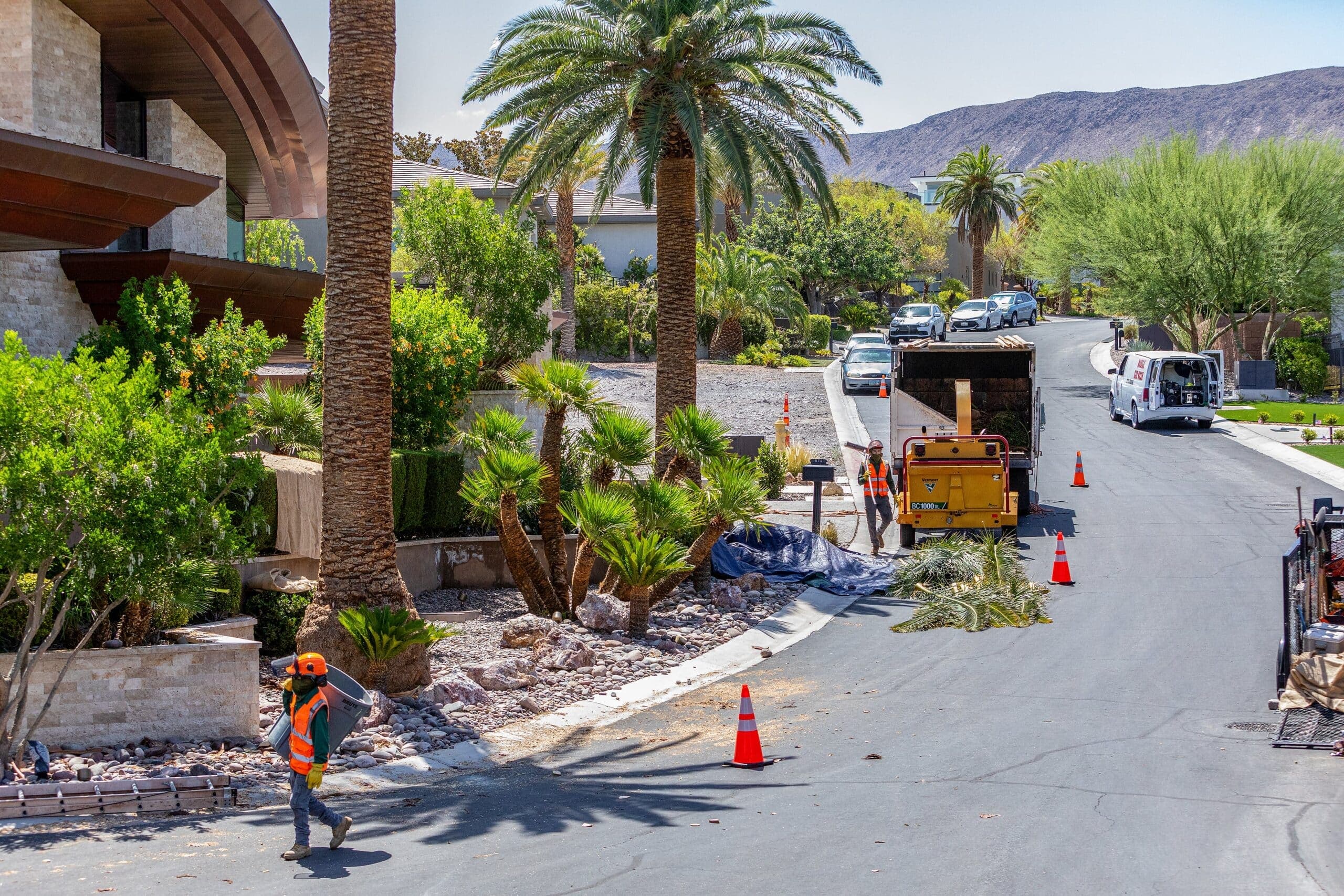 Tree service project in Las Vegas - photo 34