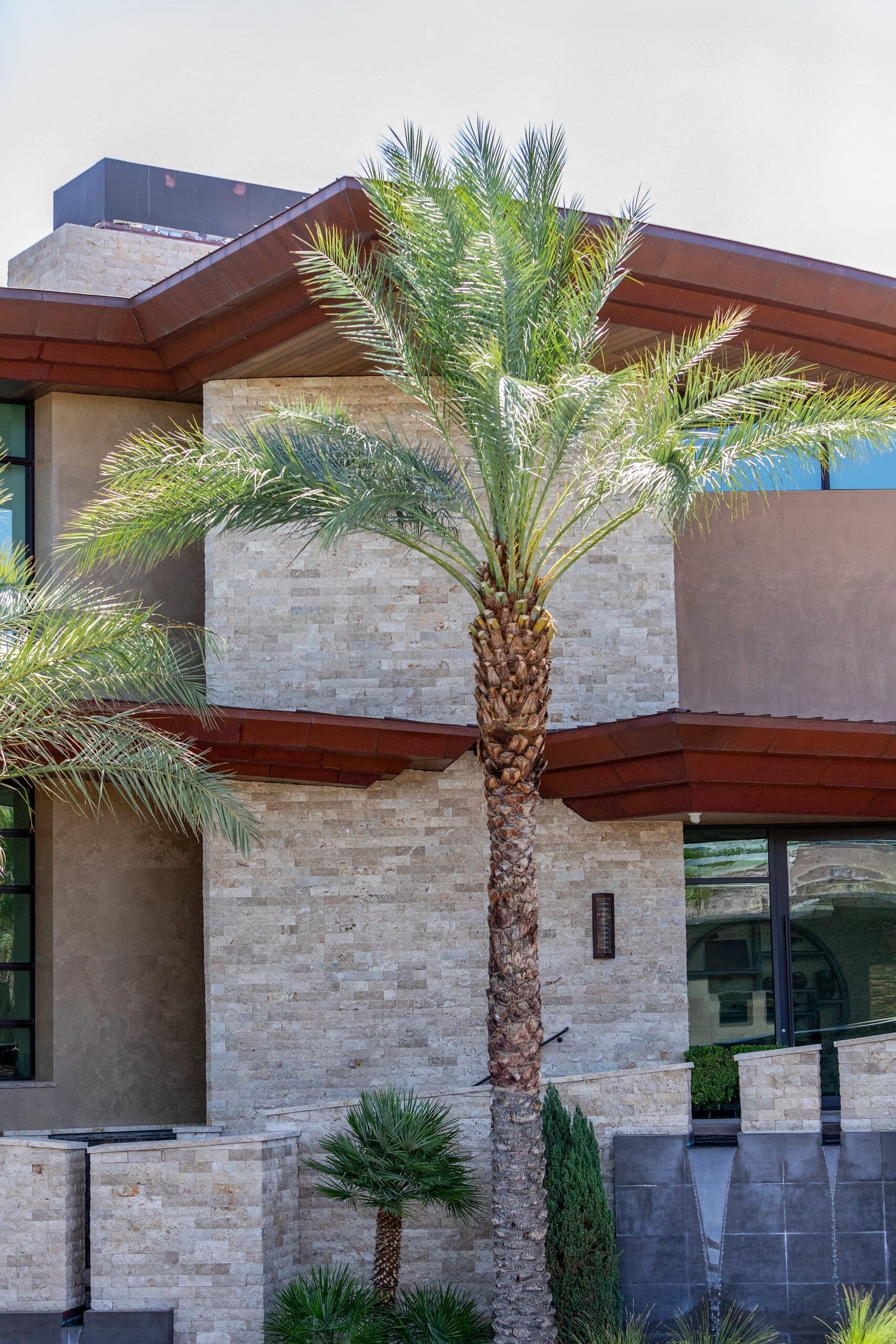 Tree service project in Las Vegas - photo 41