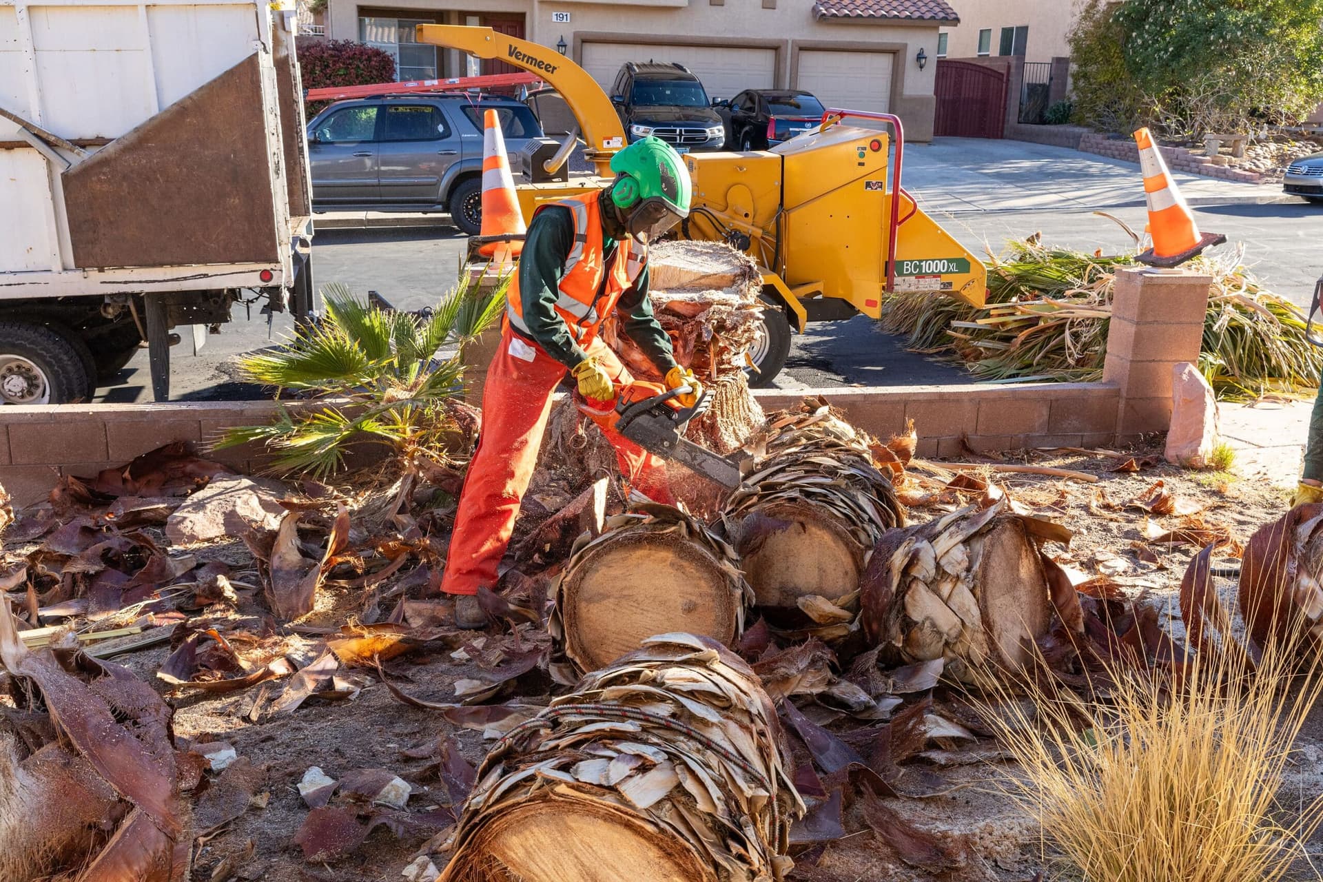 Tree Removal Las Vegas