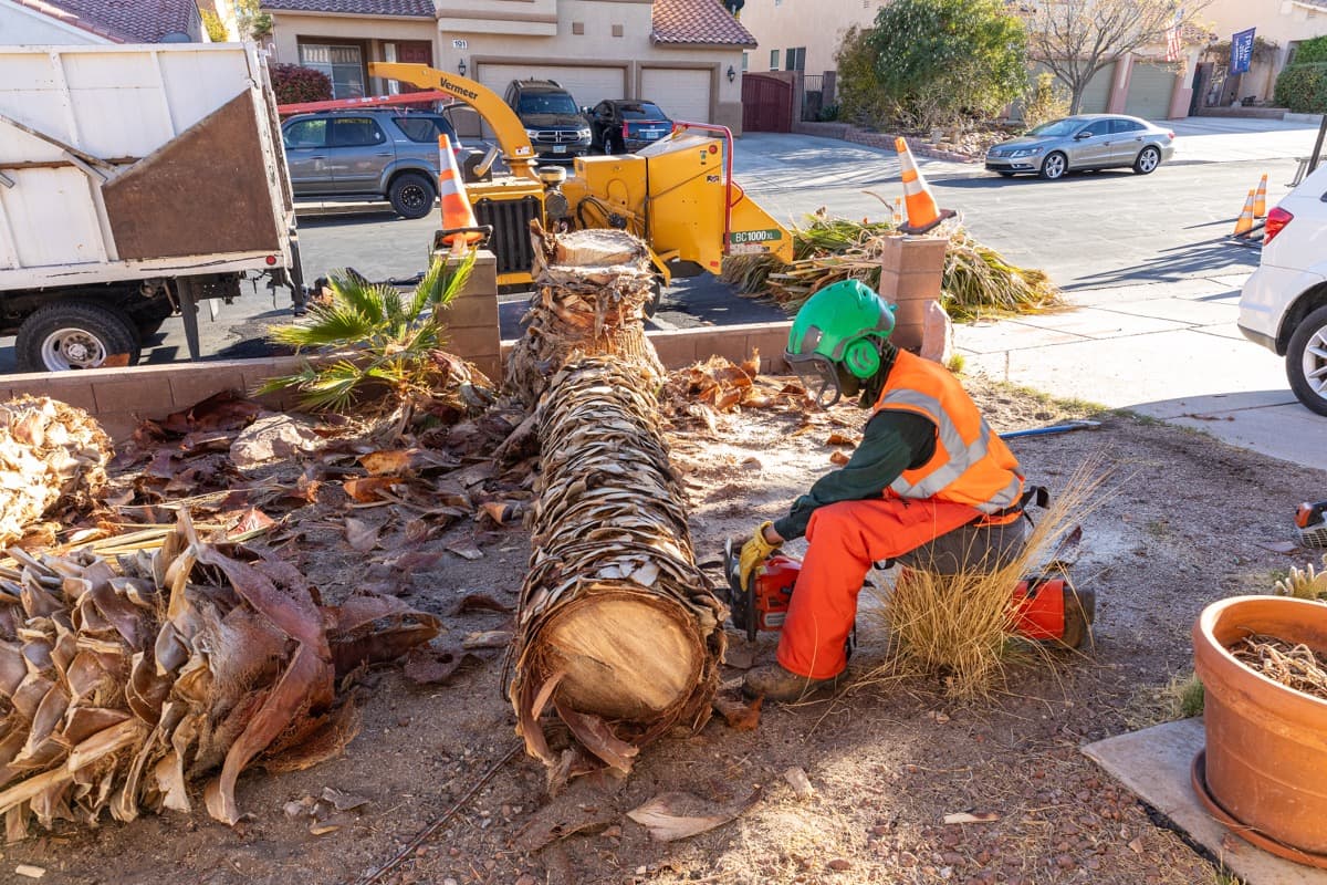 Planting Trees Is Easier Than Ever With These Simple Tips