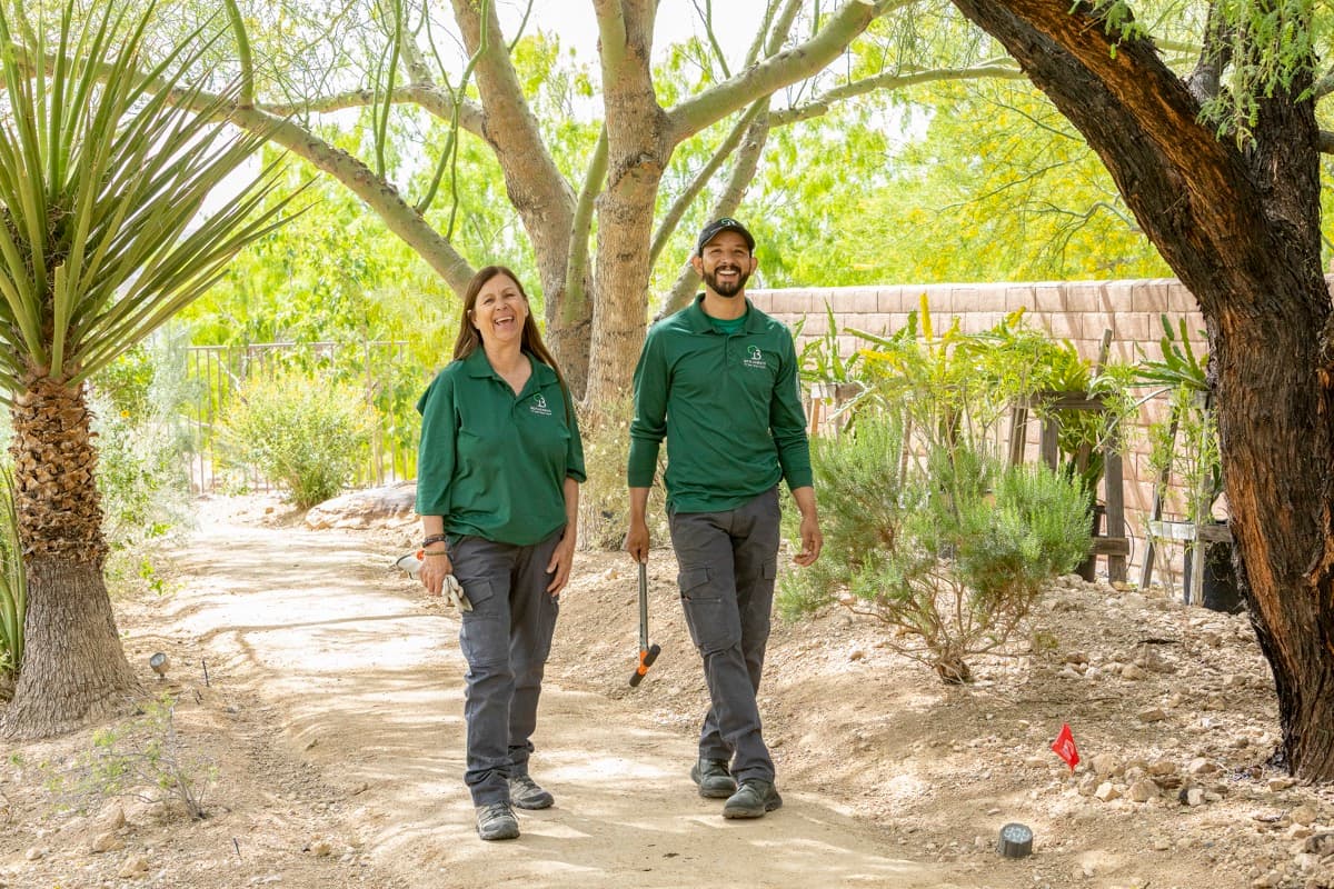 Winter Tree Care Tips for Desert Areas
