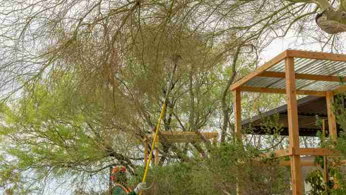 Emergency Tree Service: What to Expect When You Call