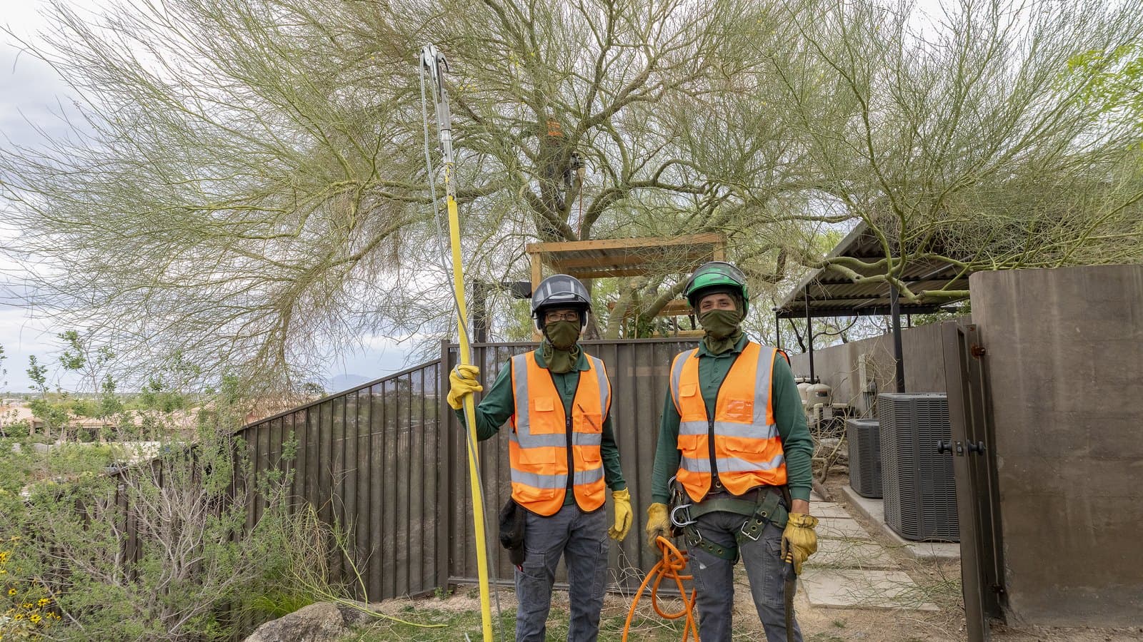 Tree maintenance schedule for Las Vegas: two crew members in safety vests and helmets with a pole pruner beside a mature tree