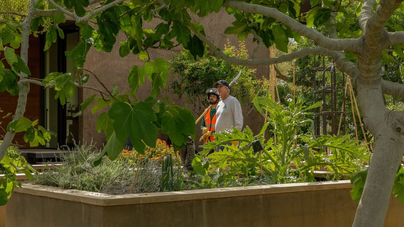An arborist reviewing a property with a homeowner before writing a free estimate
