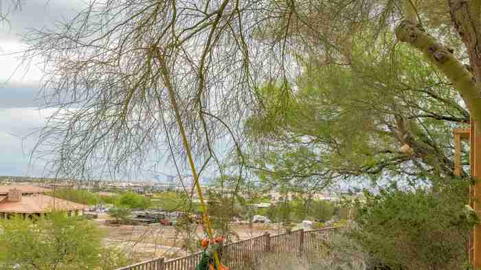 Watering Trees in the Desert: How Much Is Too Much?