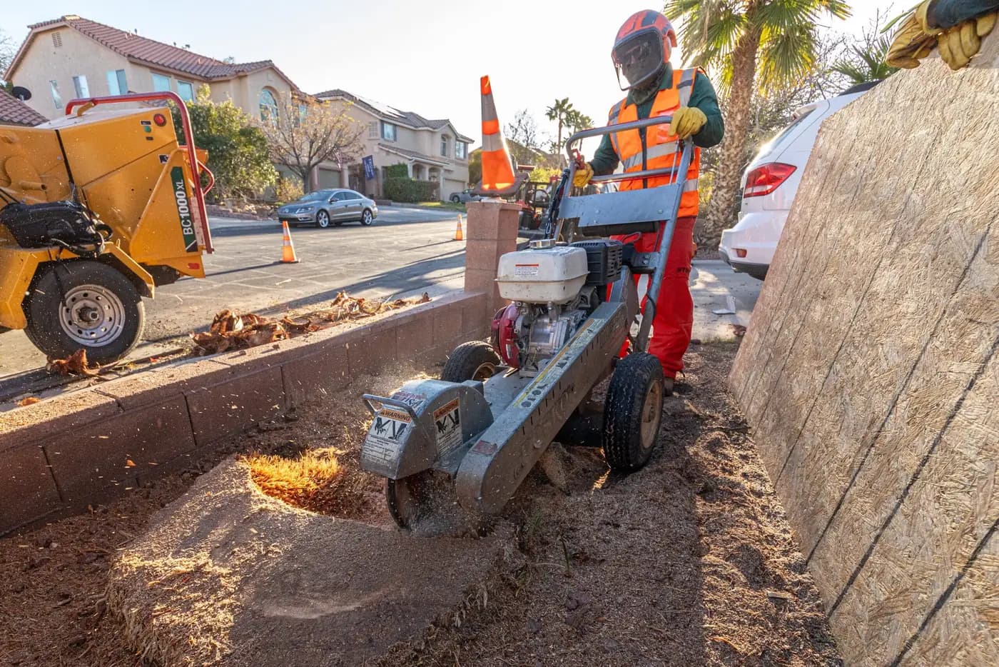 Commercial Tree Service