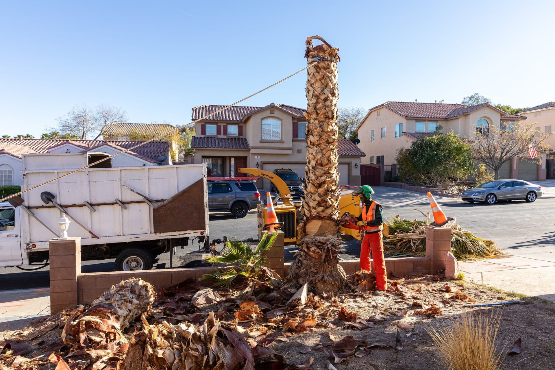 Commercial Tree Service Las Vegas